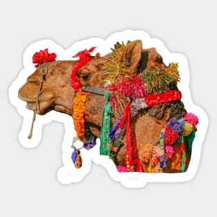 Festive Camel Sticker